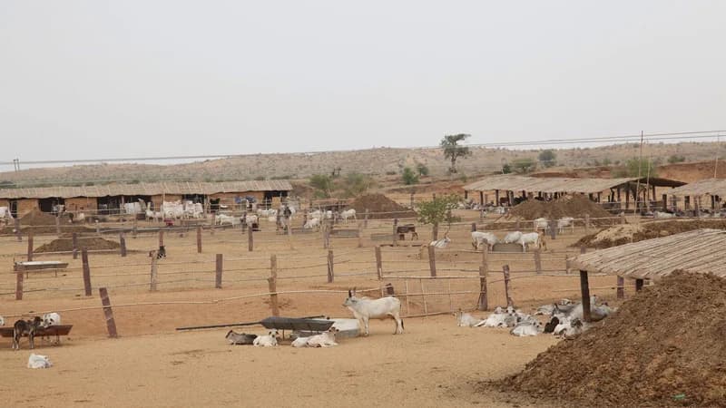 Thar Giving Back to Community
